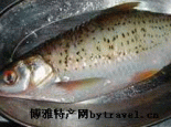 鳌花
