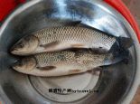 五大连池草鱼