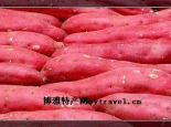 “北雷王“红薯