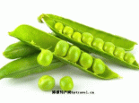通渭豌豆