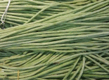 瓜果蔬菜