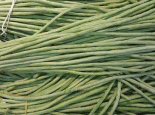 东湾蔬菜