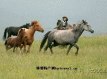 山丹马