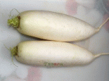 红樱萝卜
