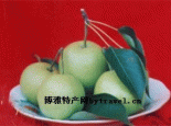 兰州软儿梨