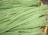 甘谷菜豆