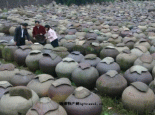 甘谷陈醋