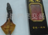 鹿尾