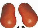鹿肾