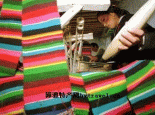 西宁毛粗纺纱