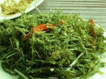 鹿角菜