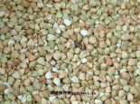 荞麦飘香
