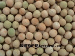 白豌豆