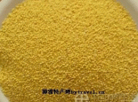 盐池糜子