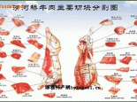 涝河桥牛肉