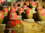 贺兰山东麓葡萄酒