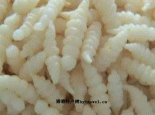 螺丝菜