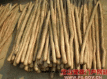 皮山山药