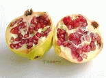 新疆石榴