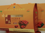 沙雅骏枣
