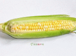 伊宁玉米
