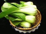 昭苏油菜