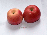 特克斯苹果