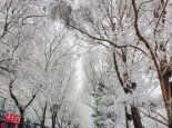 未来三天西藏部分地区将现强降雪 阿里日喀则局地有大到暴雪