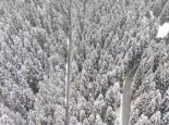 黑龙江今明天将现降雪降温 春运出行注意保暖和交通安全