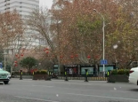 河南未来三天雨雪纷飞局地有大到暴雪 春运高峰期注意防滑保暖