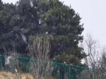 风雨雪交加！河南今明天雨雪达鼎盛局地暴雪 春运出行注意防寒防滑