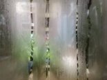 广西未来三天阴雨连连局地有中到大雨 桂南部分地区有轻度回南天
