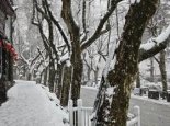 出行注意！陕西雨雪天气发展增多 陕北关中等地今天局地有中雪