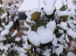 山东未来三天部分地区有雨夹雪 最低温在冰点之下需警惕道路结冰