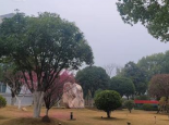 出行注意！湖南今起至周末有雨雪冰冻 湘西等山区有雨夹雪或冻雨