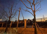 北京未来三天以晴为主气温连升 明后天最高温将达10℃以上