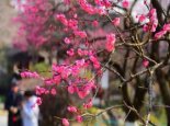 陕西开启晴暖模式 西安等多地迎火箭式升温最高温接近20℃