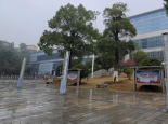 带伞！湖南今明天多阵雨天气 气温回升多地最高温重回两位数