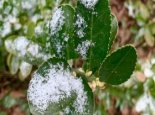 山西今天维持晴暖格局 周末冷空气携大风降温雨雪来袭