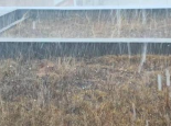 今起四天广东阴雨连连局地有大雨或暴雨 中南部有强对流来扰