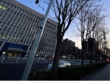 今天白天北京阳光在线暖意足 昼夜温差较大最低温仅1℃
