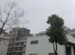 湖南未来三天降雨频繁 明后天雨势增强局地有暴雨并伴有强对流天气