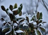 今后三天四川大部多雨雪天气 川西高原攀西地区有中到大雪局地暴雪