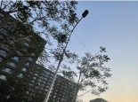 今明两天北京仍然以晴暖天气为主 早晨天气凉爽昼夜温差较大