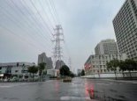 “竹节草”将回旋少动 江苏今明天仍有较强降雨局部大暴雨