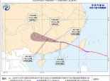 台风蓝色预警！“杨柳”逐渐减弱 湖南广西等局地或现特大暴雨