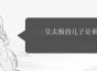 皇太极的儿子是谁