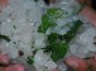 河南多地冰雹突袭瞬间白茫茫一片 气象台已发布冰雹橙色预警