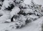 【内蒙古】内蒙古今日空气佳 明起迎春雨